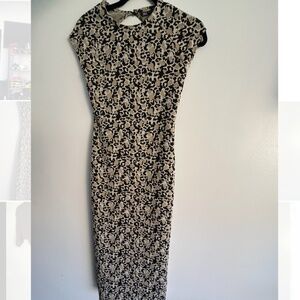 Cap sleeve long fancy Zara dress